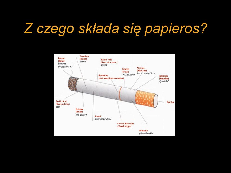 Z czego składa się papieros