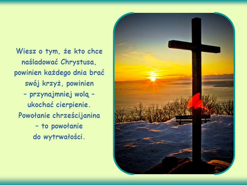 Wiesz o tym, że kto chce naśladować Chrystusa, powinien każdego dnia brać swój krzyż, powinien – przynajmniej wolą – ukochać cierpienie.