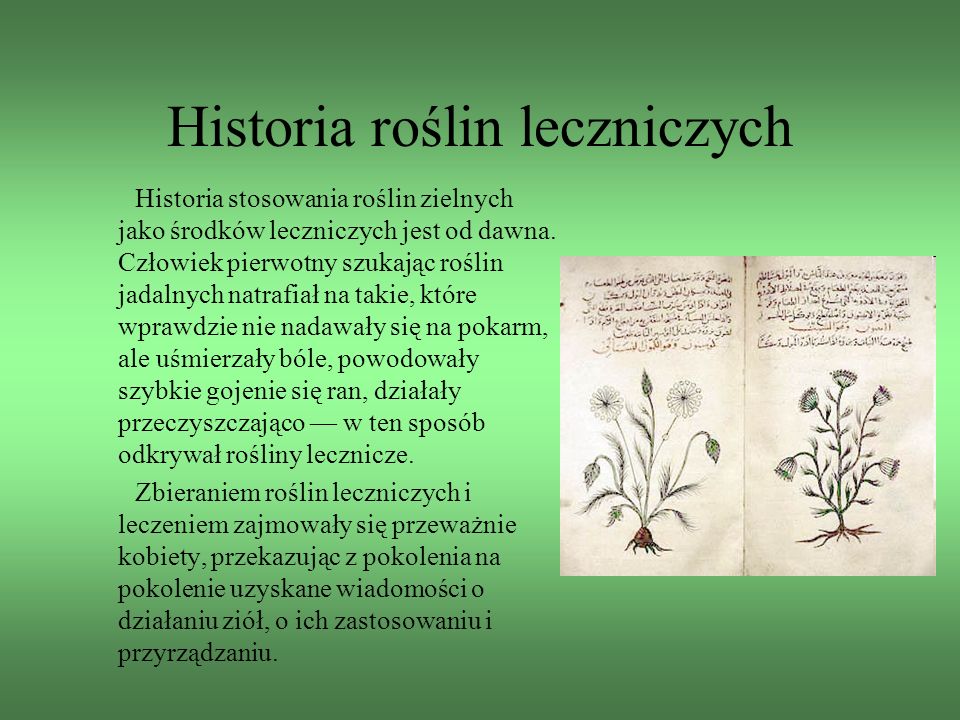 Historia roślin leczniczych