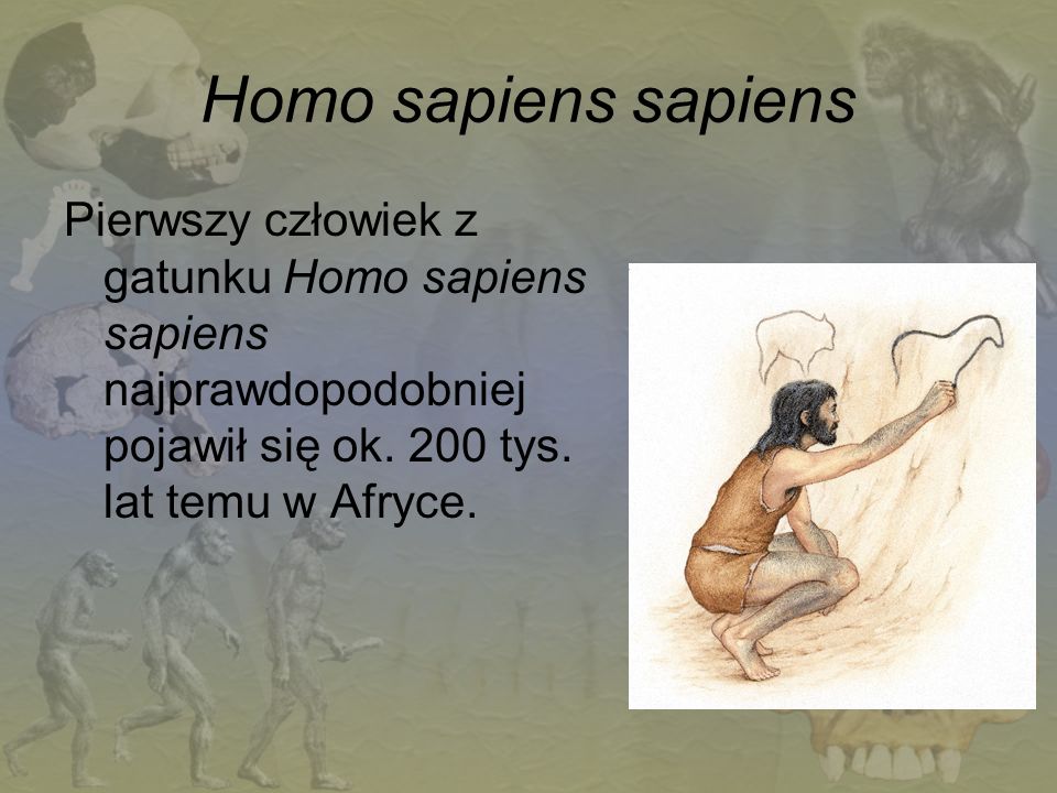 Homo sapiens sapiens Pierwszy człowiek z gatunku Homo sapiens sapiens najprawdopodobniej pojawił się ok.