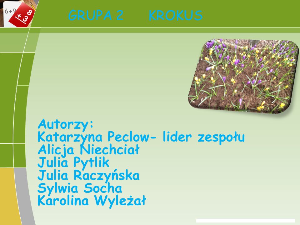 GRUPA 2 KROKUS Autorzy: Katarzyna Peclow- lider zespołu. Alicja Niechciał. Julia Pytlik. Julia Raczyńska.