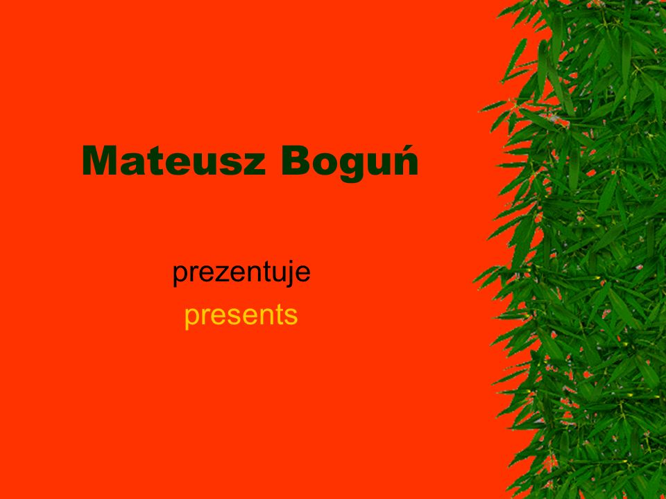 Mateusz Boguń prezentuje presents