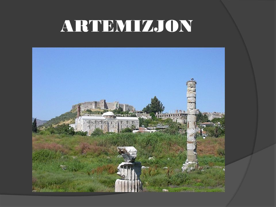 ARTEMIZJON