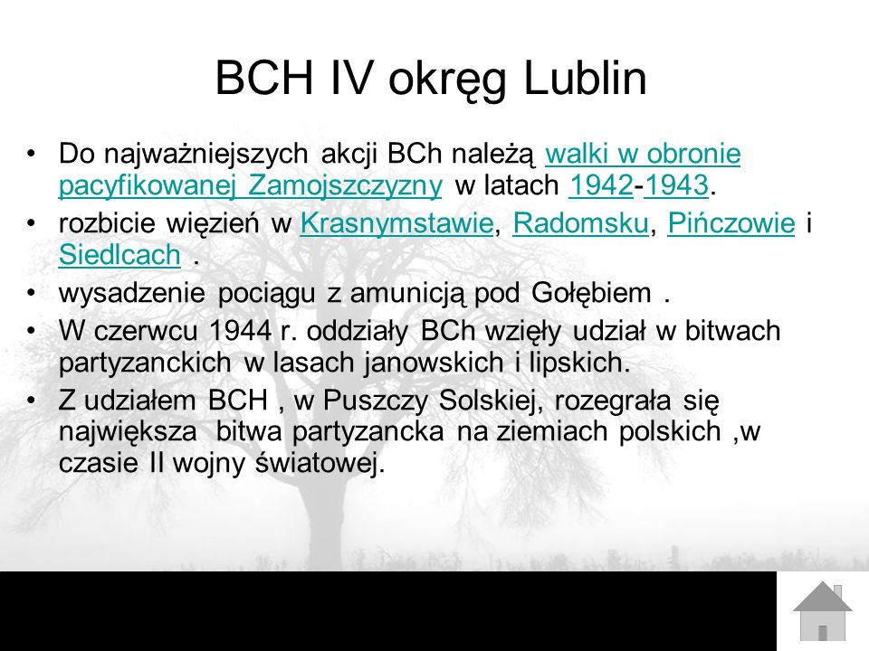 BCH IV okręg Lublin Do najważniejszych akcji BCh należą walki w obronie pacyfikowanej Zamojszczyzny w latach