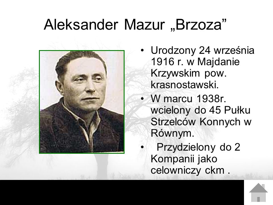 Aleksander Mazur „Brzoza