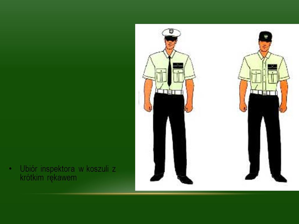 Ubiór inspektora w koszuli z krótkim rękawem