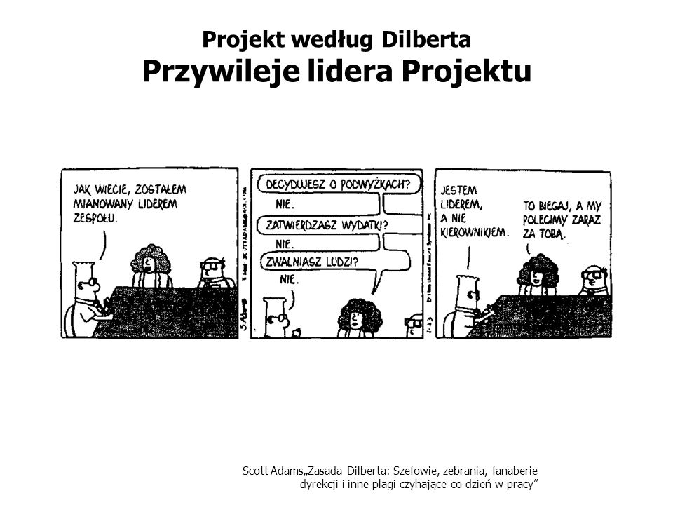 Projekt według Dilberta Przywileje lidera Projektu