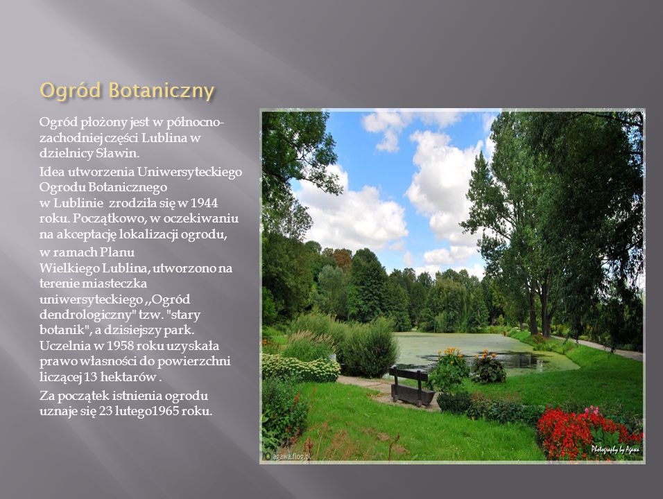 Ogród Botaniczny Ogród płożony jest w północno-zachodniej części Lublina w dzielnicy Sławin.