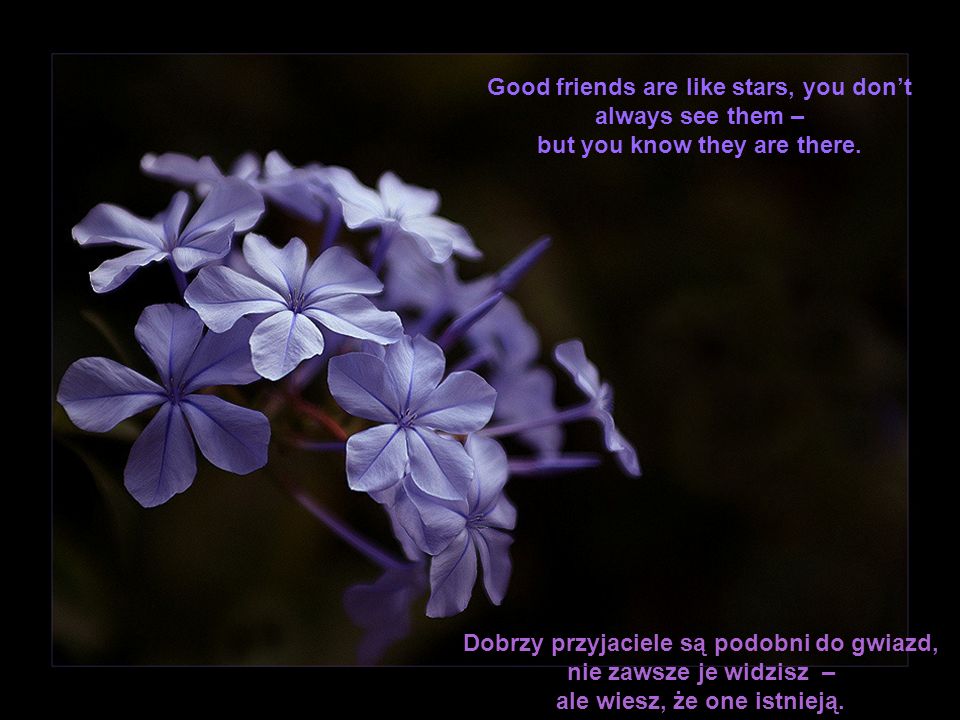Good friends are like stars, you don’t always see them –