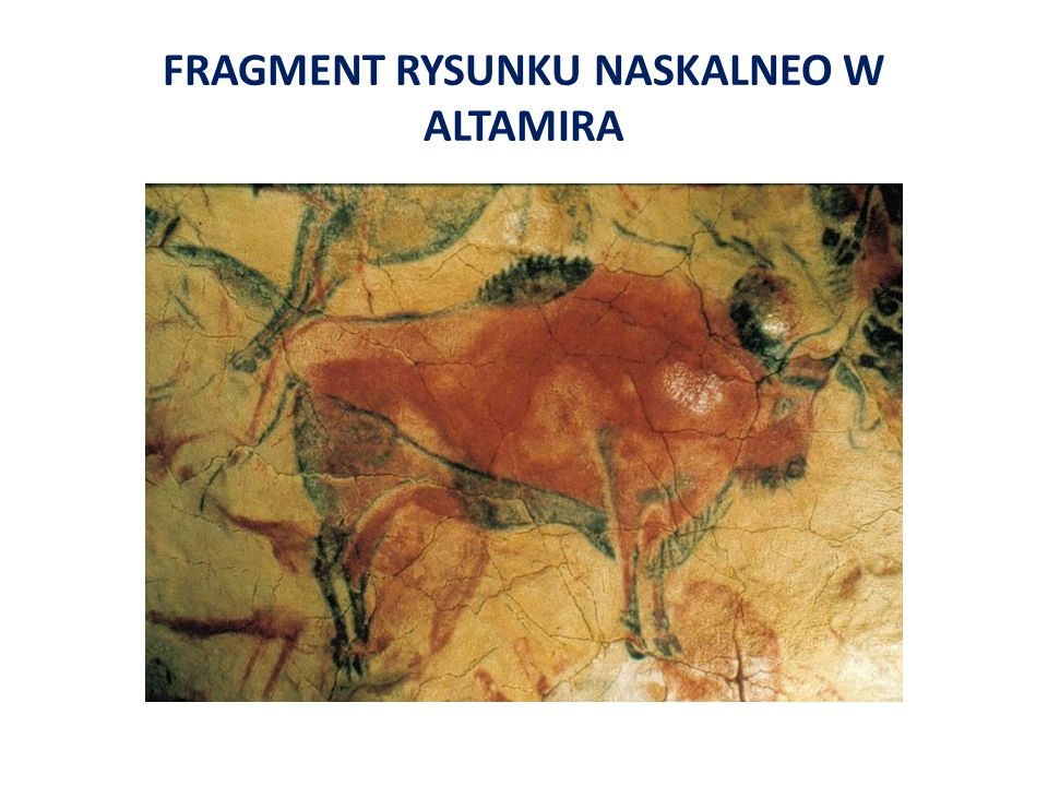 FRAGMENT RYSUNKU NASKALNEO W ALTAMIRA