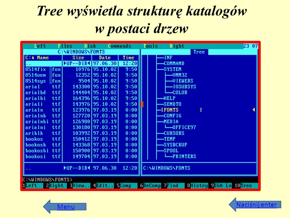 Tree wyświetla strukturę katalogów w postaci drzew