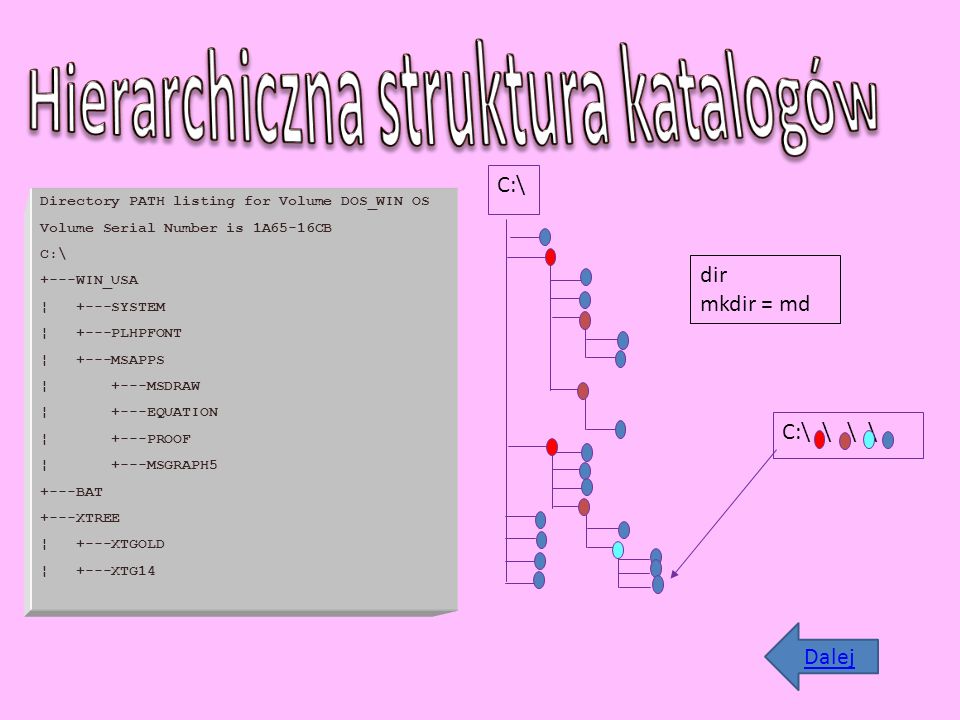 Hierarchiczna struktura katalogów