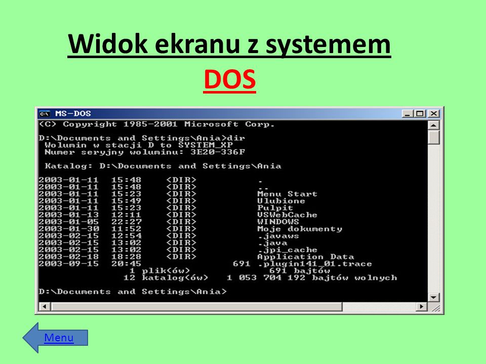 Widok ekranu z systemem DOS