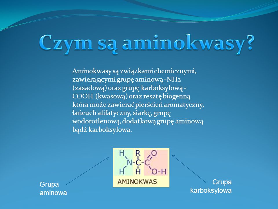 Czym są aminokwasy
