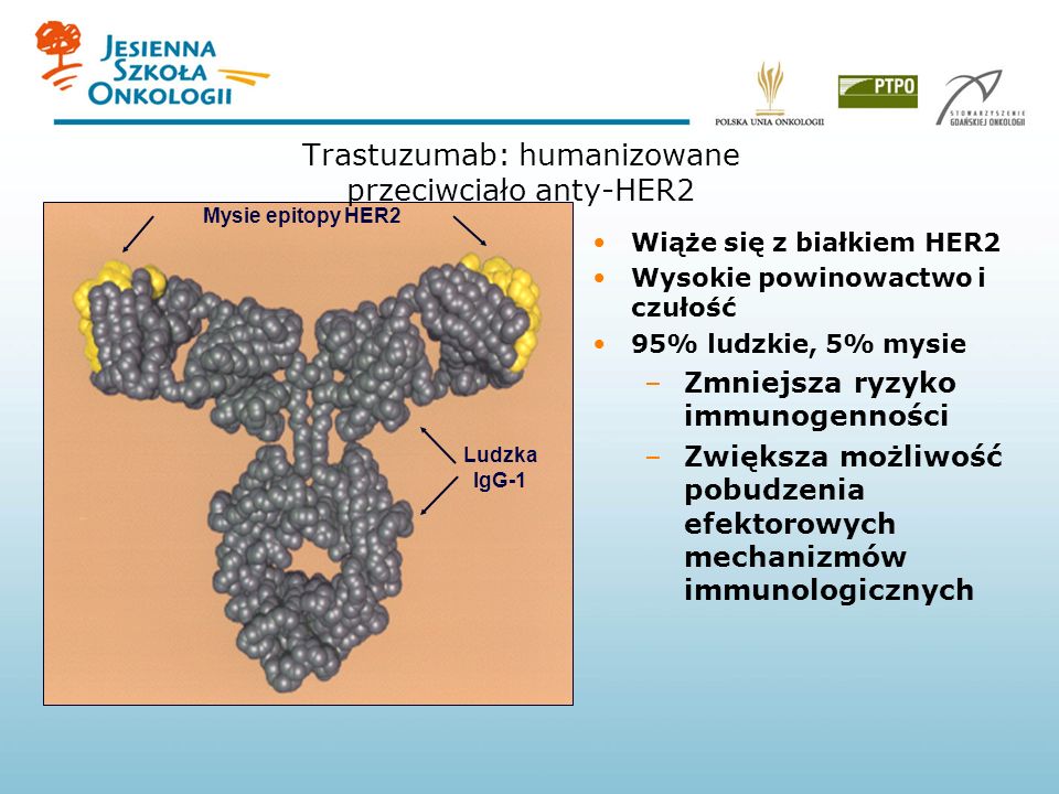 Trastuzumab: humanizowane przeciwciało anty-HER2