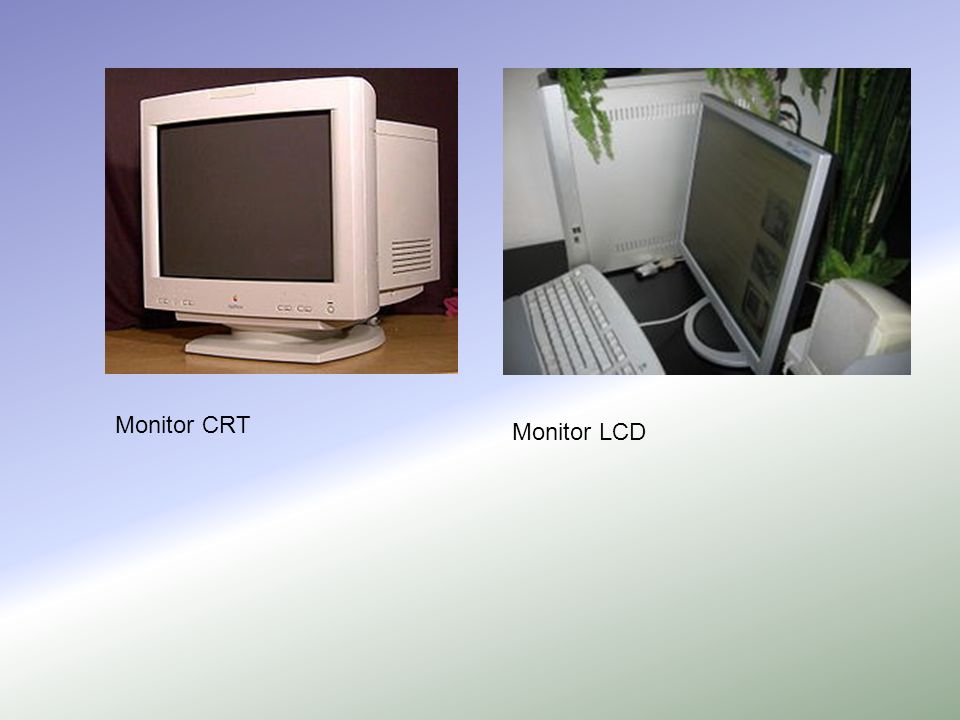 Monitor CRT Monitor LCD