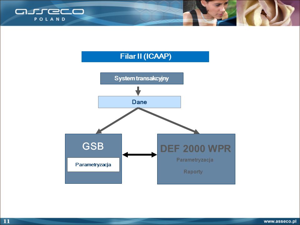 GSB DEF 2000 WPR Filar II (ICAAP) System transakcyjny Dane