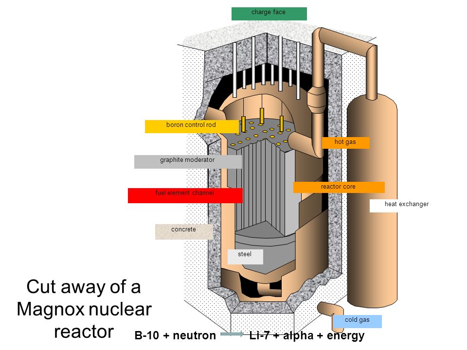 Cut away of a Magnox nuclear reactor